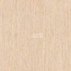 Линолеум Tarkett iq Optima Light Gold Beige 0247 фото 1 | FLOORDEALER